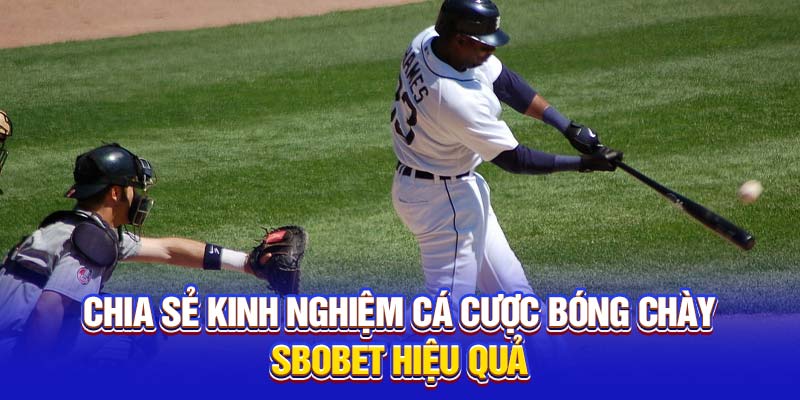 Chia sẻ kinh nghiệm cá cược bóng chày hiệu quả