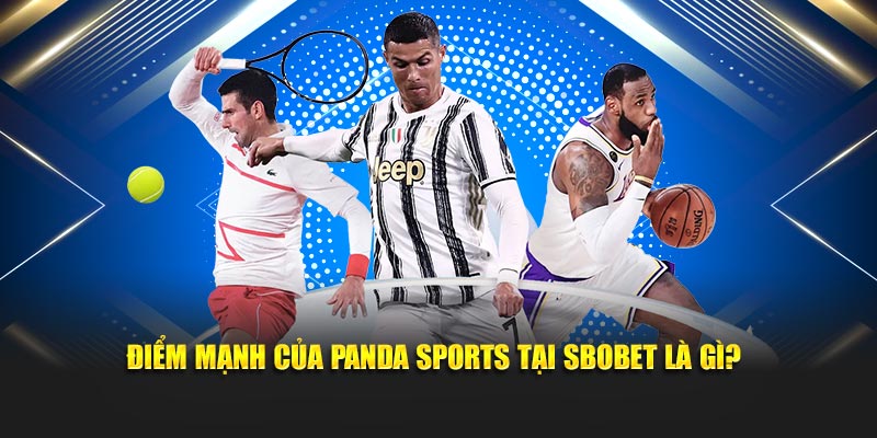 Điểm mạnh của Panda Sports tại SBOBET là gì?