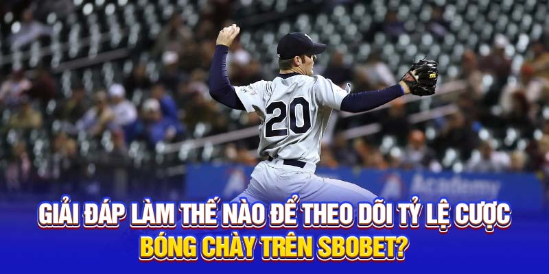 Giải đáp làm thế nào để theo dõi tỷ lệ cược bóng chày 