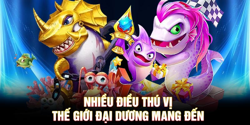 Nhiều điều thú vị thế giới đại dương mang đến