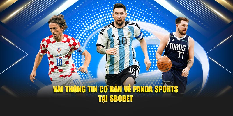 Vài thông tin cơ bản về Panda Sports tại SBOBET